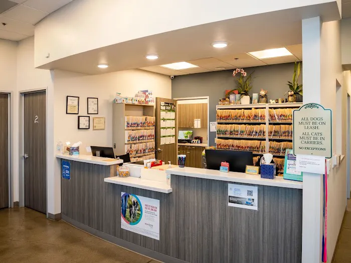 Sunnyside Pet Hospital Picture 7