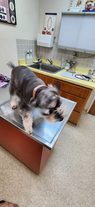 Northgate Pet Hospital Picture 1