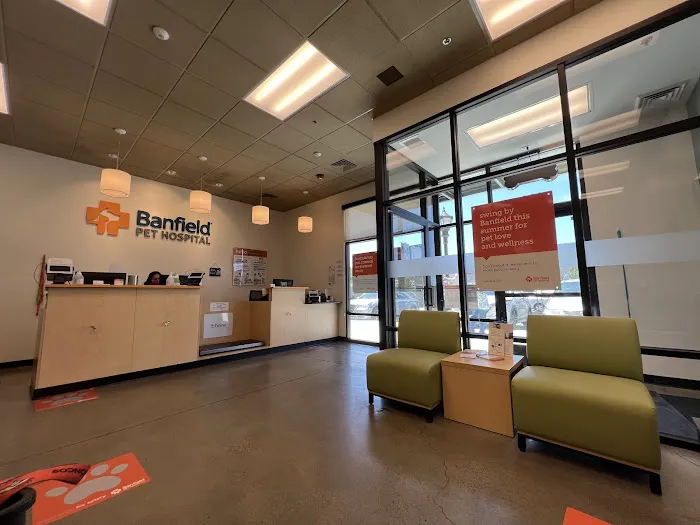 Banfield Pet Hospital Picture 2