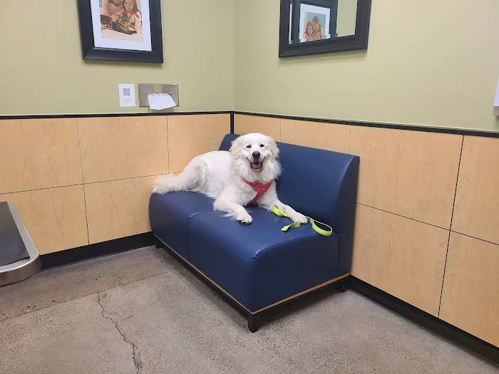 Banfield Pet Hospital Picture 6