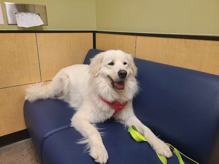 Banfield Pet Hospital Picture 7