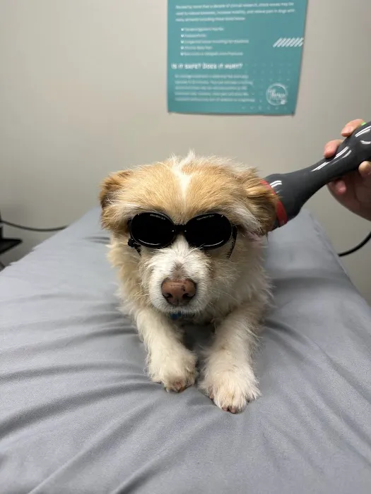 Thrive Animal Rehabilitation Picture 1
