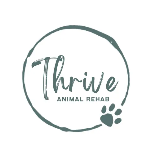 Thrive Animal Rehabilitation Picture 10