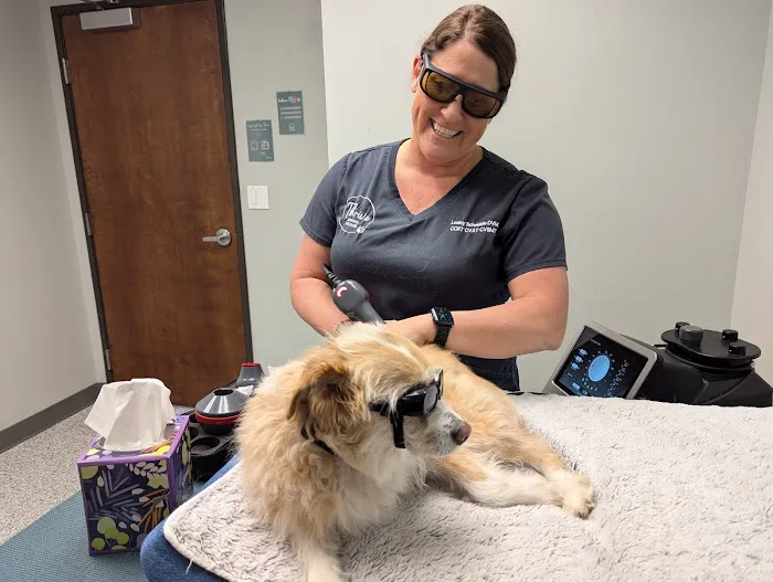 Thrive Animal Rehabilitation Picture 7