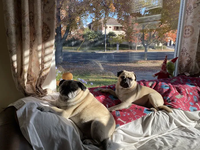 Sacramento Animal Hospital Picture 6