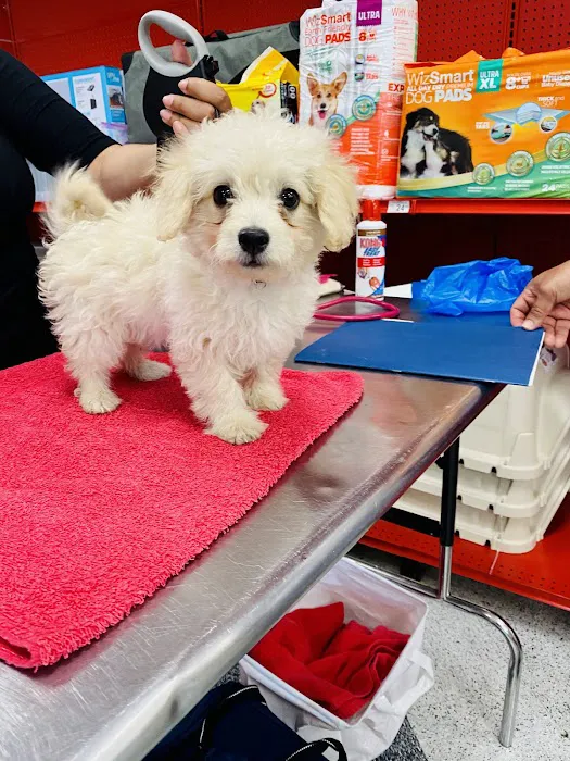 Vetco Vaccination Clinic Picture 3