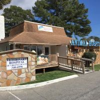Veterinary Hospital of Virginia Beach ico