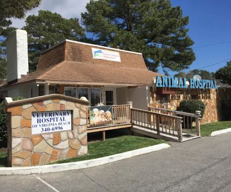 Veterinary Hospital of Virginia Beach