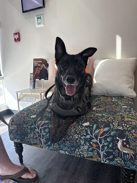 CityVet | Red Mill + Urgent Care Picture 1