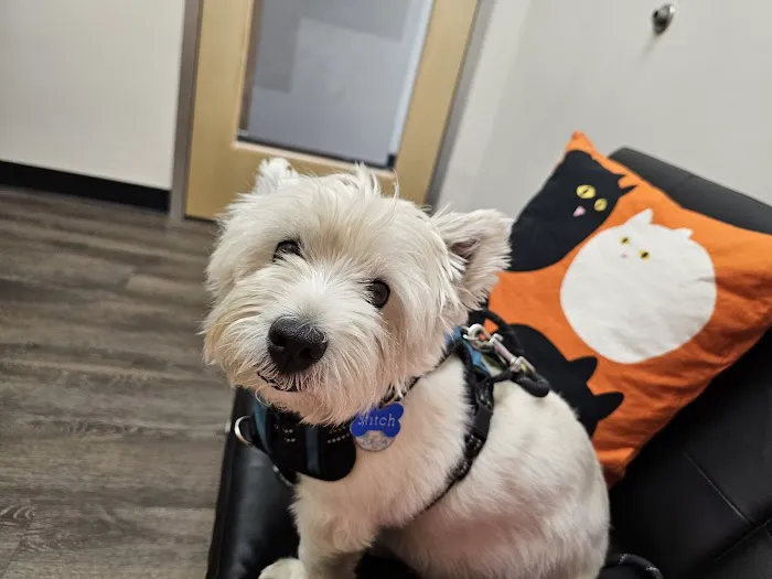 CityVet | Red Mill + Urgent Care Picture 3