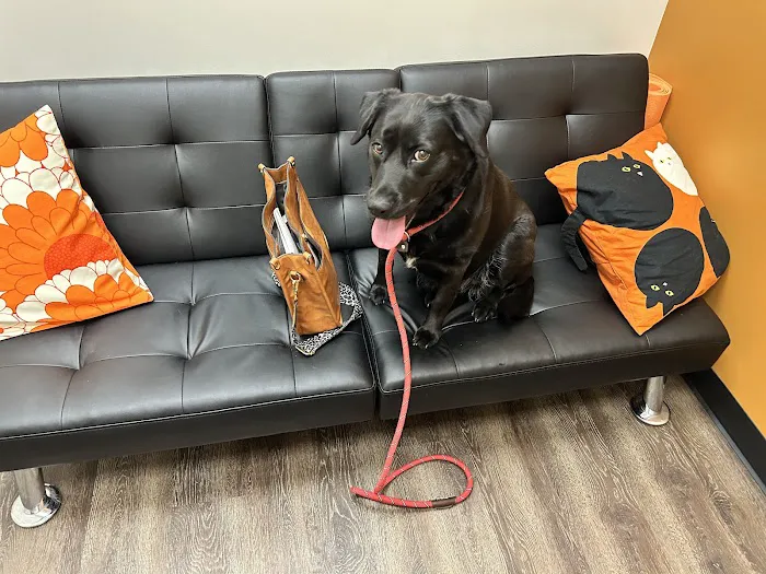 CityVet | Red Mill + Urgent Care Picture 5