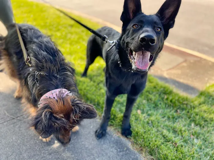 CityVet | Red Mill + Urgent Care Picture 7