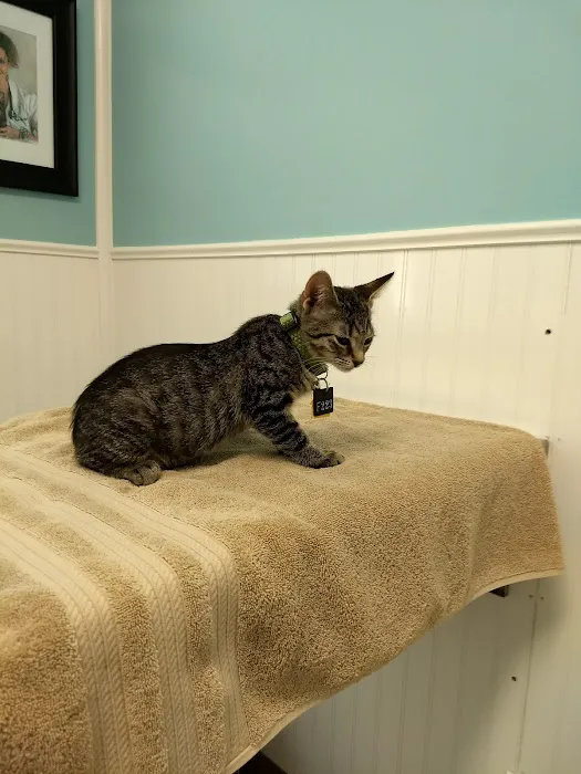 Great Neck Veterinary Clinic Picture 1