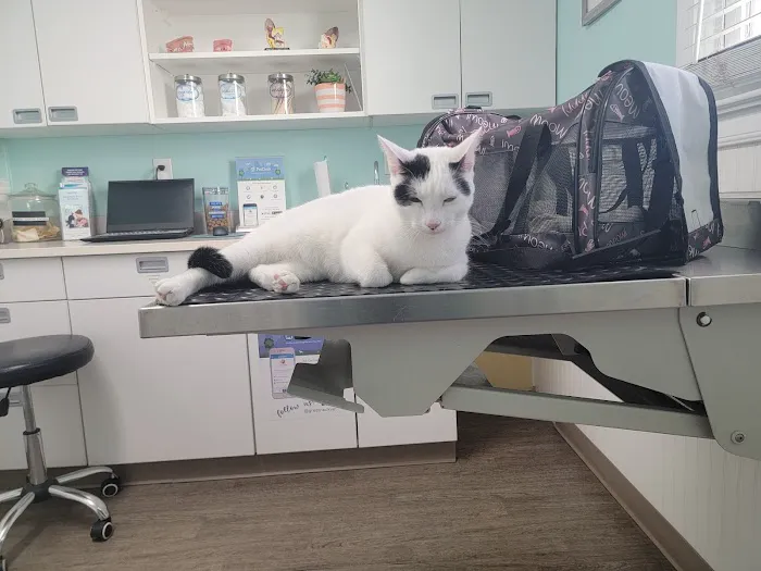 Great Neck Veterinary Clinic Picture 8