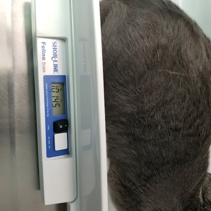 Washington Dog and Cat Hospital Picture 8