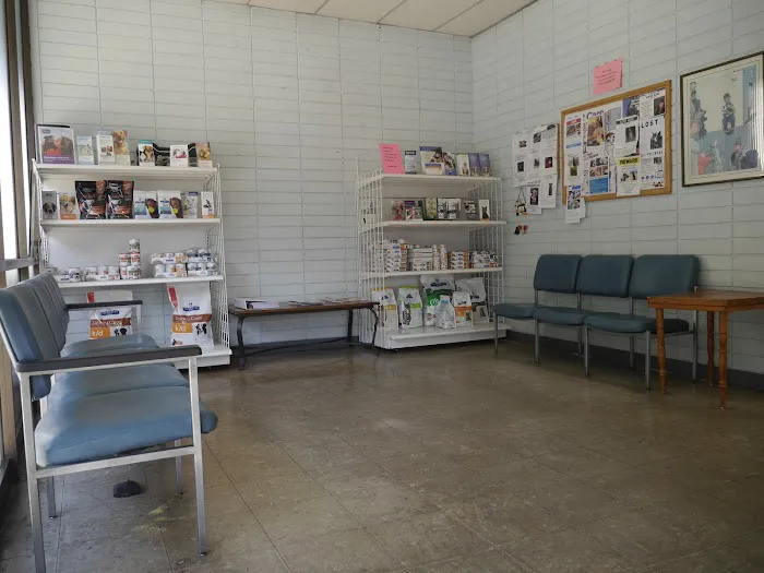 Avenue 26 Small Animal Hospital Picture 4