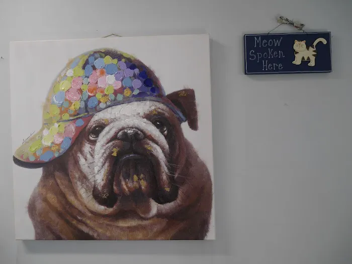 Avenue 26 Small Animal Hospital Picture 8