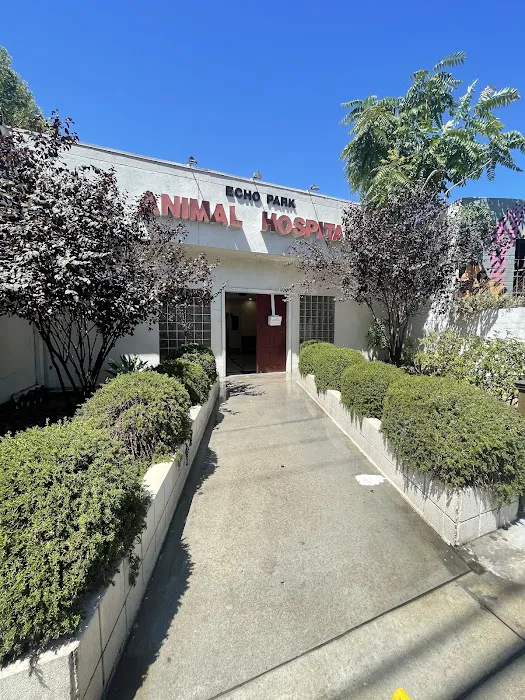 Echo Park Veterinary Hospital Picture 4