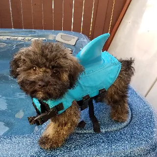 Beverly Virgil Animal Hospital Picture 2