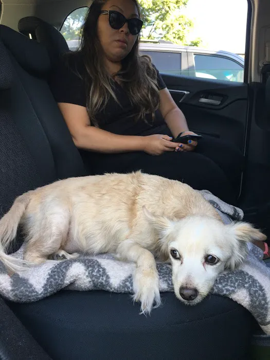 Ambassador Dog & Cat Hospital Picture 7