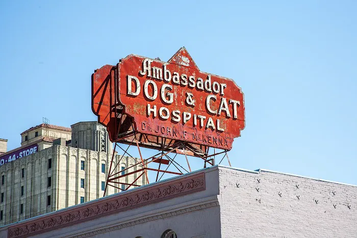 Ambassador Dog & Cat Hospital Picture 5