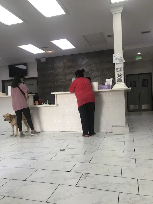 Ambassador Dog & Cat Hospital Picture 8