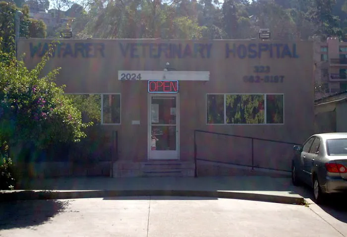 Wayfarer Veterinary Hospital Picture 3