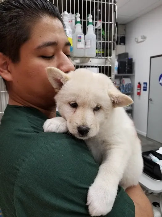 Angel City Animal Hospital Picture 1