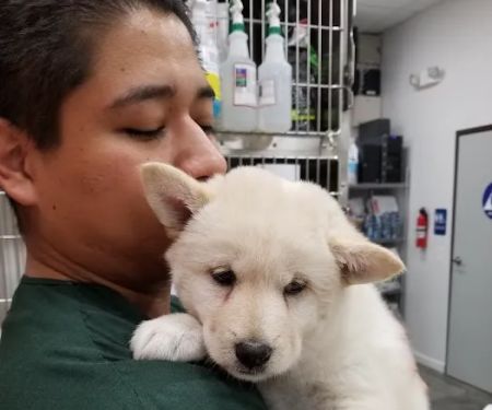 Angel City Animal Hospital