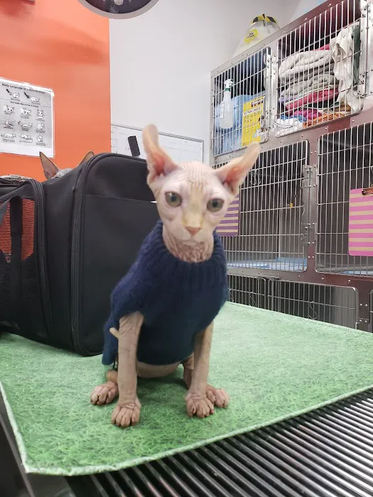 Angel City Animal Hospital Picture 2