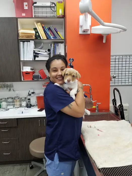 Angel City Animal Hospital Picture 7