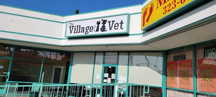 The Village Vet Picture 9