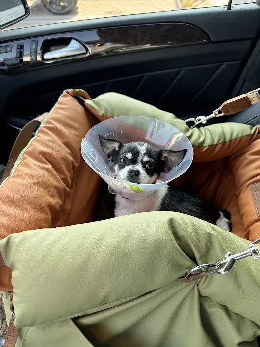 Animal Urgent Care K-Town Picture 2