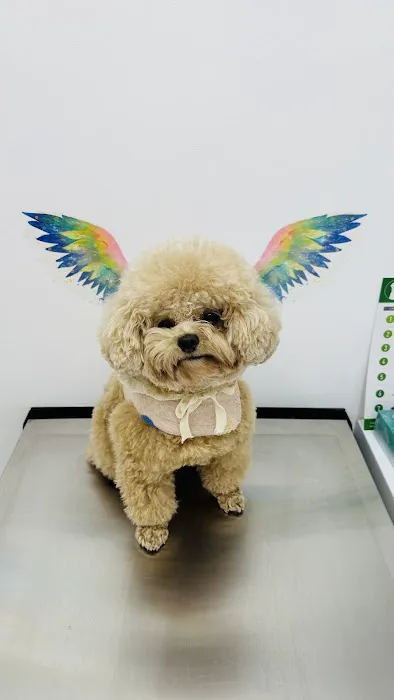 Beverly Pet Clinic Picture 2