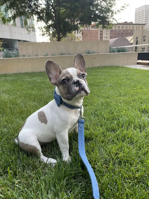 Beverly Pet Clinic Picture 1