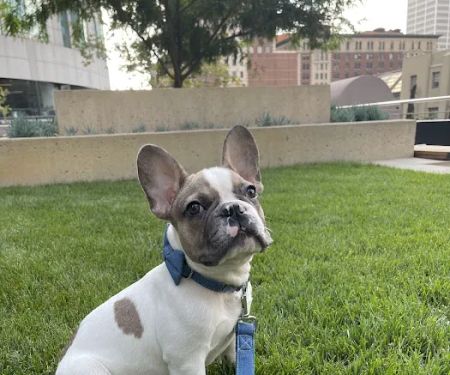 Beverly Pet Clinic