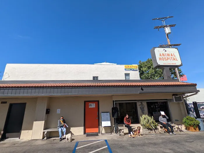 North Figueroa Animal Hospital Picture 1