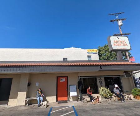 North Figueroa Animal Hospital