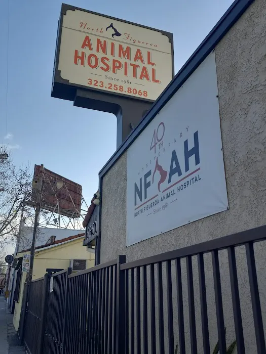 North Figueroa Animal Hospital Picture 5