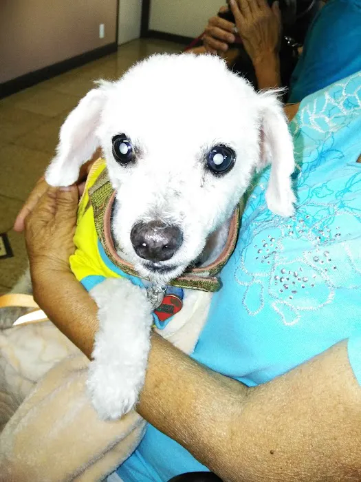 North Figueroa Animal Hospital Picture 9