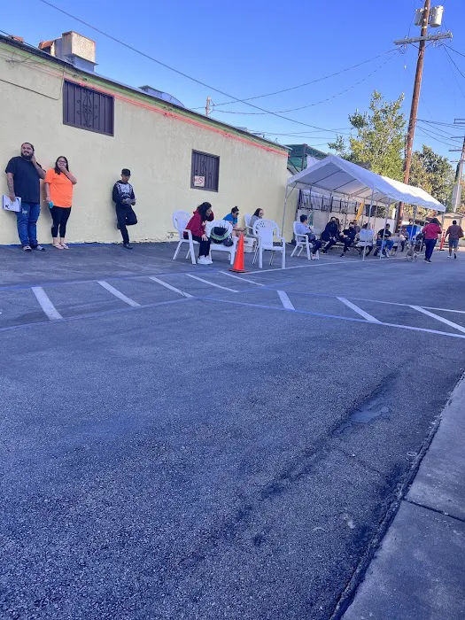 North Figueroa Animal Hospital Picture 10