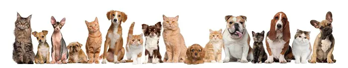 Eagle Rock Pet Care Picture 2