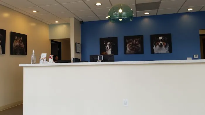 Eagle Rock Pet Care Picture 8