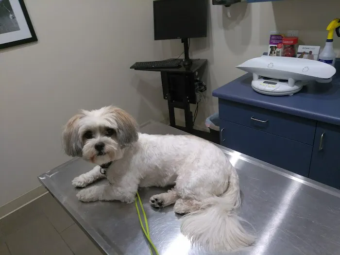 Eagle Rock Pet Care Picture 7