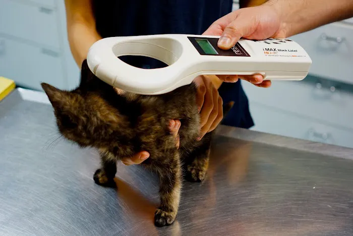 Highland Park Animal Hospital Picture 5