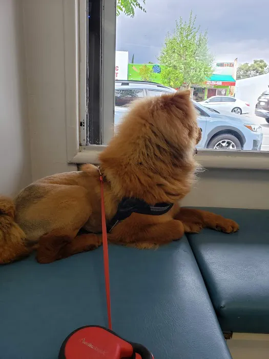 Highland Park Animal Hospital Picture 10