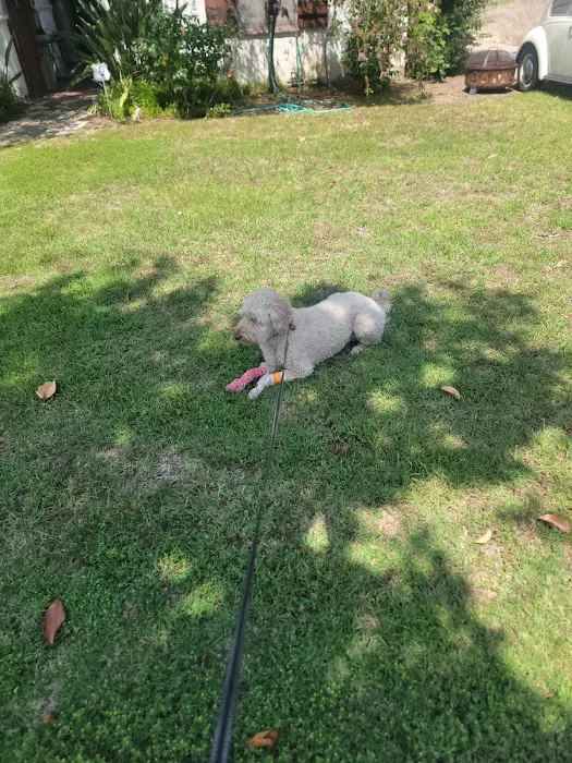 Eagle Rock Animal Emergency Picture 3