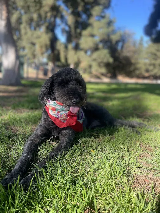 Eagle Rock Animal Emergency Picture 4