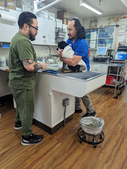 Eagle Glen Veterinary Clinic Picture 3
