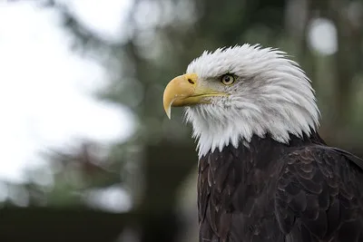 Eagle Glen Veterinary Clinic Picture 1